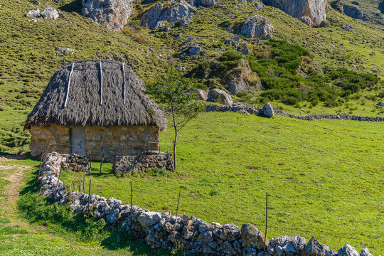 Traditional cabin with a broom roof , teito, in the town of Valle de Lago in Somiedo, Asturias. 