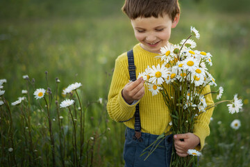 a boy in a yellow sweater and trousers with suspenders is standing in a meadow at sunset, hugging a...