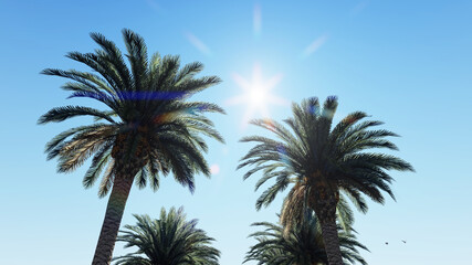 Fototapeta na wymiar Palm Trees on Blue Sky Background. 3D Rendering. 