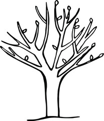 Vector hand drawn doodle street objects, vector young tree, a tree with leaves, vector templets, contoured tree