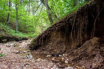 Landslide on the slope of a ravine as a result of erosion by water flow