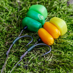 Carp fishing chod rig.The Source Boilies with fishing hook. Fishing rig for carps,Carp boilies, corn, tiger nuts and hemp.Carp fishing food boilies. - obrazy, fototapety, plakaty