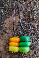 Carp fishing chod rig.The Source Boilies with fishing hook. Fishing rig for carps,Carp boilies, corn, tiger nuts and hemp.Carp fishing food boilies. - obrazy, fototapety, plakaty