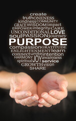 Aspects of Life's Purpose Word Cloud Circle Concept - female hands gently cupped with a round...