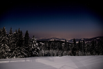 late night in the mountains, mountains at night, trees in winter, pines in winter, Podhale