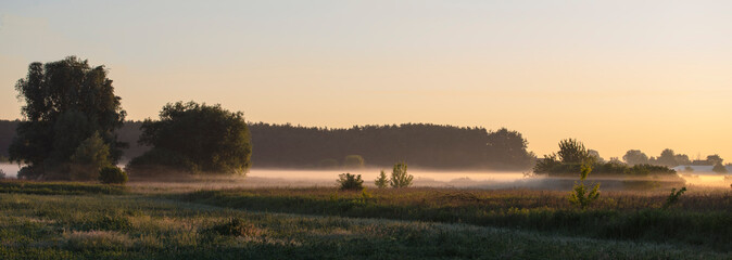 Panorama mglistego poranku nad polem z lasem w tle, Poranek nad lakami ze wschodem 