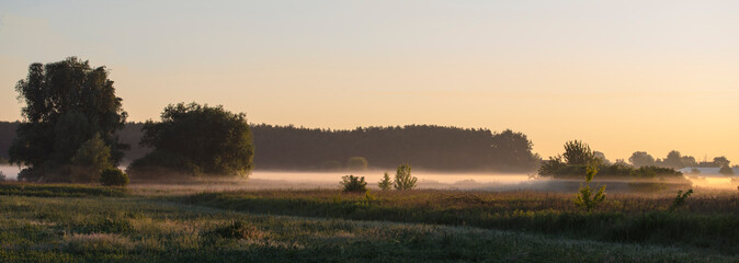 Panorama mglistego poranku nad polem z lasem w tle, Poranek nad lakami ze wschodem  © Follow the Sun