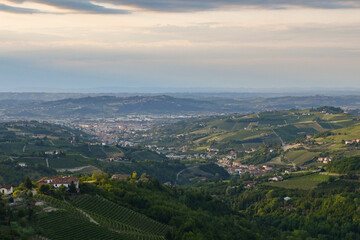 Fototapeta na wymiar Elevated view of the city of Alba surrounded by the vineyard hills of the Langhe area, Unesco World Heritage Site, in summer at sunset, Cuneo, Piedmont, Italy