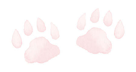 アナログ水彩虎の肉球