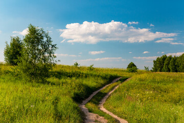 Fototapeta na wymiar Scenic landscape with dirt road going through green fields