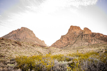 Bright Sun Rising Through The Window