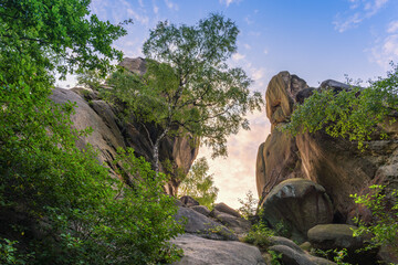 A huge, free-standing and denuded rock outcrop in the Prządki nature reserve, Podkarpackie Voivodeship, Poland