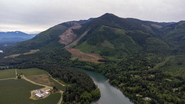 Aerial view captured by drone of the Skagit River in Washington State. Beautiful American landscape with nature forest. 