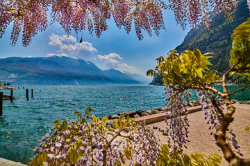 View of the beautiful Lake Garda surrounded by mountains,Riva del garda and Garda lake in the spring time,Trentino Alto Adige region - obrazy, fototapety, plakaty