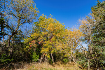 Sunny view of the landscape inside the Boiling Springs State Park