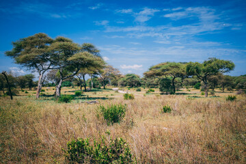 Masai Tribe, Tanzania.