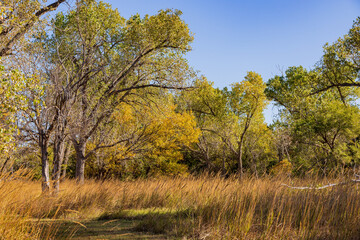Fototapeta na wymiar Autumn landscape of the Jet Recreation Nature Trail
