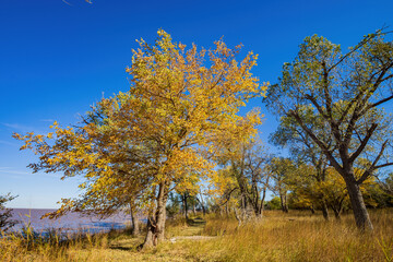 Autumn landscape of the Jet Recreation Nature Trail