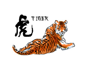 Tiger animal on white background. Brush stroke effect. Use it for card, poster or package print design. Vector illustration.