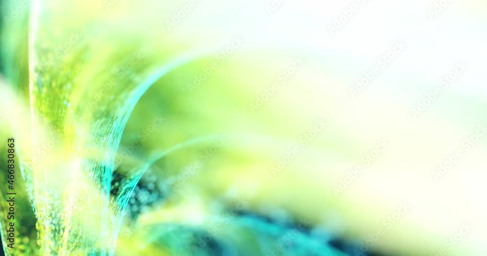 Poster organic and natural pattern animation with curved forms and rainbow colored glitter particles in slo