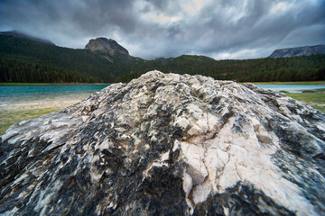 Closeup of a rock at Black Lake,Durmitor National Park,Montenegro.
