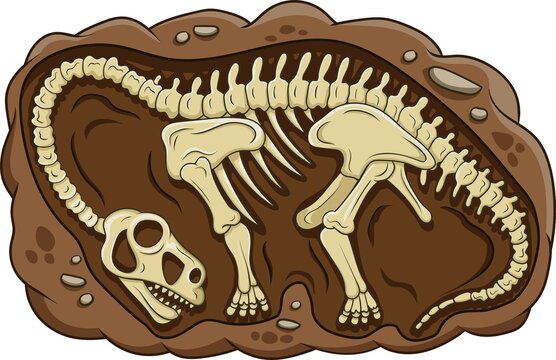 Illustration of cartoon dinosaur fossil