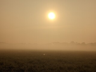 sunrise over the field