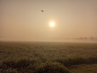 sunrise in the field