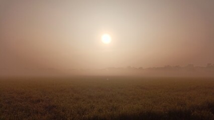 Fototapeta na wymiar sunrise over the field