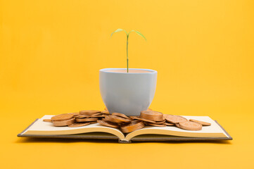 save money, invest in stocks, financial growth, income