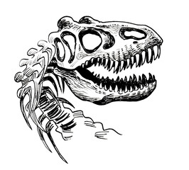Ink black and white drawing of a tyrannosaurus rex skeleton © berdsigns