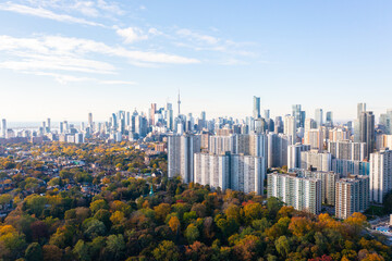 downtown Toronto with Riverdale east park trees with fall colours red green orange and yellow leaf...