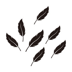 feather set icon vector illustration sign