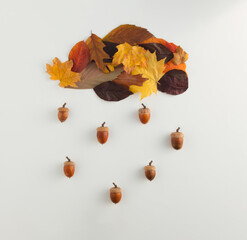 Autumn leaves in shape of cloud with rain on white background. Flat lay composition with acorn....