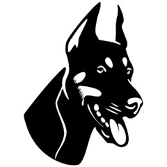 Golden Retriever Labrador Retriever Boston Terrier Puppy Poodle, labrador, white, face, animals png