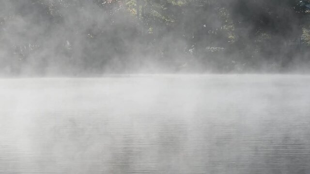 大分県　湯布院　金鱗湖　朝霧