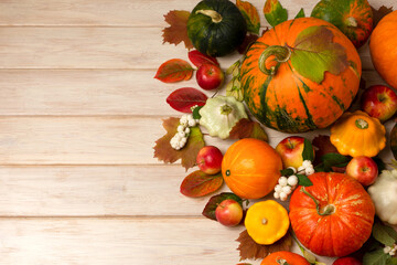 Thanksgiving green, orange, striped pumpkins background