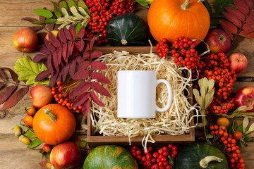 White coffee mug mockup with pumpkins and fall leaves