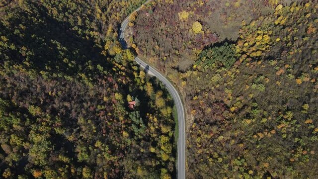 Top down aerial view drone image on the road trough the trees and forest in mountain range in autumn day - Tresibaba Knjazevac Mountain in Serbia - Travel journey and vacation concept car driving 