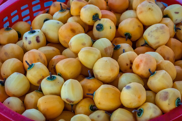 Naklejka na ściany i meble Diospyros kaki fruit or Persimmons are exposed to the sun and natural wind like the Japanese and Korean Hoshigaki method, Da Lat, Vietnam