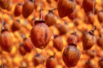 Diospyros kaki fruit or Persimmons are exposed to the sun and natural wind like the Japanese and...