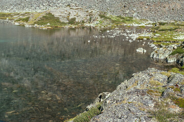 Sunny beautiful scenery with grasses on rocks near water edge of mountain lake in sunlight. Scenic landscape with mountain flora near edge of glacial lake. Stony bottom in clear water of glacier lake.