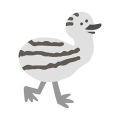 エミュー（ダチョウ）の赤ちゃん