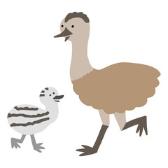 エミュー（ダチョウ）の親子のイラスト