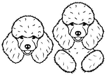 cute poodle head and peeking line art design