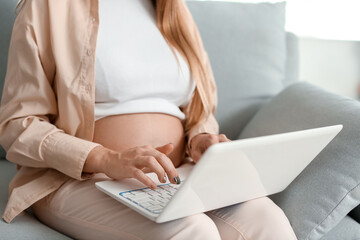 Fototapeta premium Young pregnant woman using laptop on sofa at home