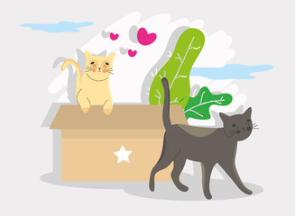 beautiful cat invitation