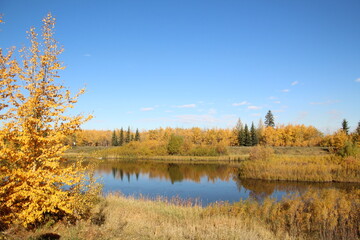 Fototapeta premium autumn landscape with lake