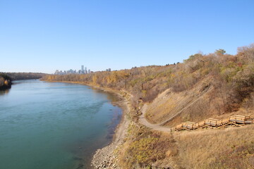 the river in the forest