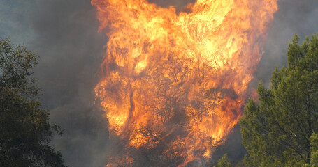 Woolsey Fire, Malibu California fire Burnt Mountains
